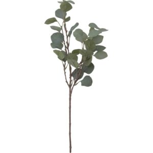 СМИККА Искусственный листок эвкалипт/зеленый 65 см - Артикул: 003.805.47