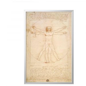 БЬЁРКСТА Картина с рамой, Витрувианский человек, цвет алюминия - 093.847.77