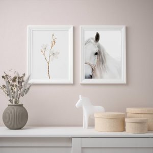 БИЛЬД Постер, Белые цветы и лошадь 30x40 см - 505.004.44