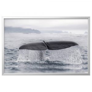 БЬЁРКСТА Картина с рамой, хвост кита/цвет алюминия 118x78 см - 494.167.57