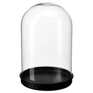 СКЁНЬЯ Стеклянный клош на подставке, прозрачное стекло/черный 21 см - 804.976.85