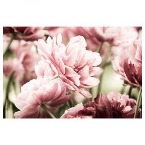 БЬЁРКСТА Холст, светло-розовые тюльпаны 118x78 см - 505.094.11