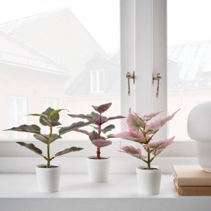 FEJKA искусственное растение в горшке,3шт, 6 см, д/дома/улицы Цветная крапива - 505.229.88